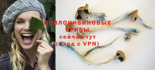 прущие крисы Баксан