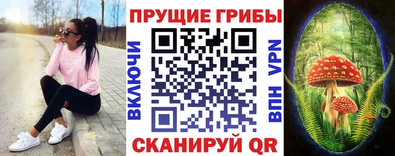 Галлюциногенные грибы Cubensis  наркота  omg зеркало  Мурино 