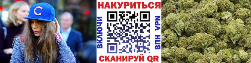 где найти   Мурино  Каннабис гибрид 